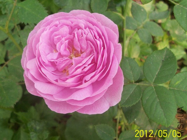 ���� ·��.jpg