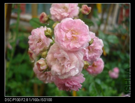 nEO_IMG_DSC05282.jpg