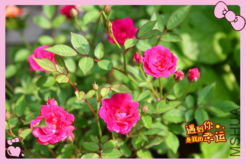 ��Ƭ 026_��������.jpg