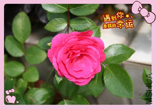 ��Ƭ 031_��������.jpg