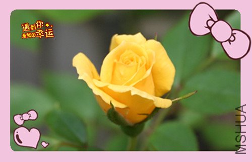 ��Ƭ 034_�����»�2.jpg