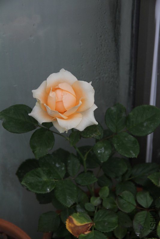 IMG_3574.JPG