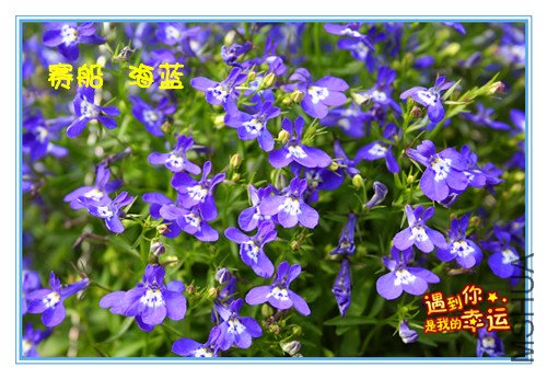 ��Ƭ 154_������������.jpg