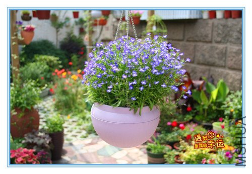 ��Ƭ 147_������1.jpg