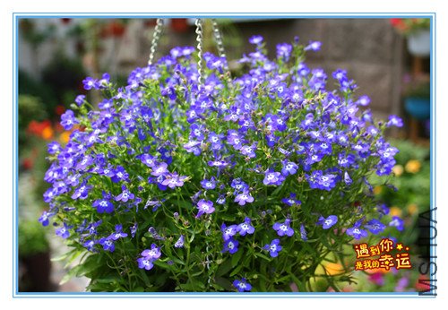 ��Ƭ 148_����2.jpg