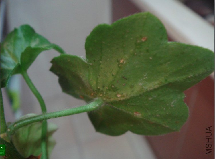 QQ��ͼ20120605200520.jpg