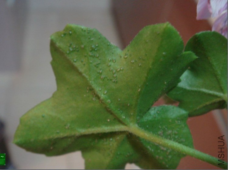 QQ��ͼ20120605200537.jpg