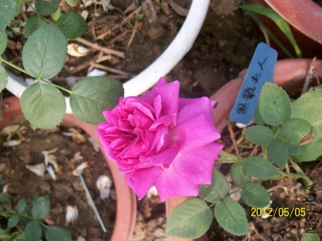 ���� ��Ӱ����1.jpg