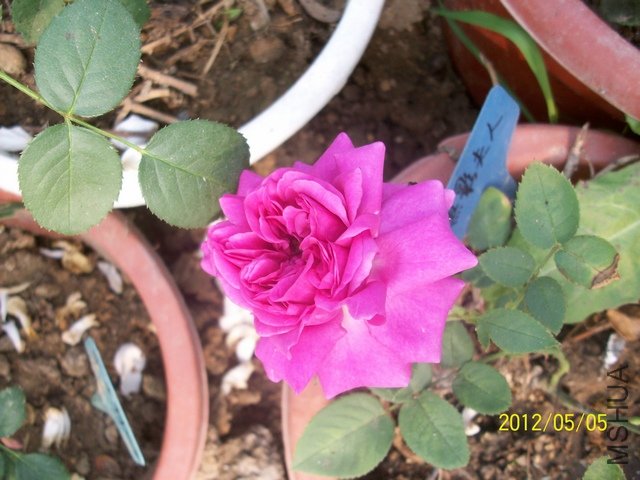 ���� ��Ӱ����2.jpg