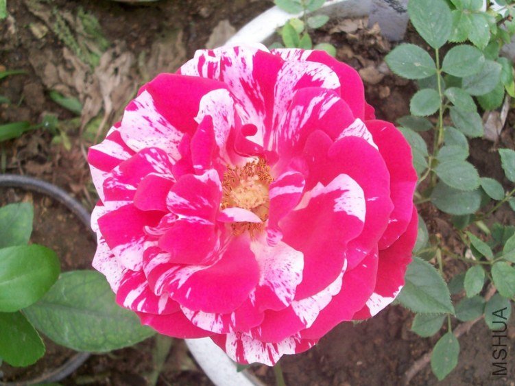 ���� ����2.jpg