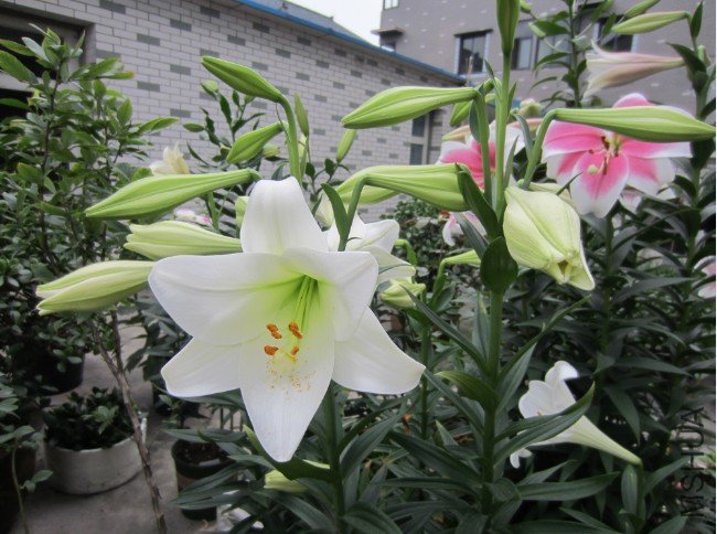 QQ��ͼ20120605204209.jpg