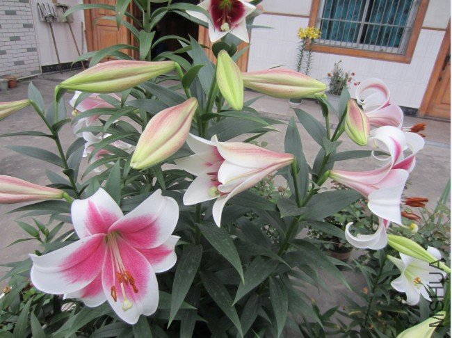 QQ��ͼ20120605204223.jpg