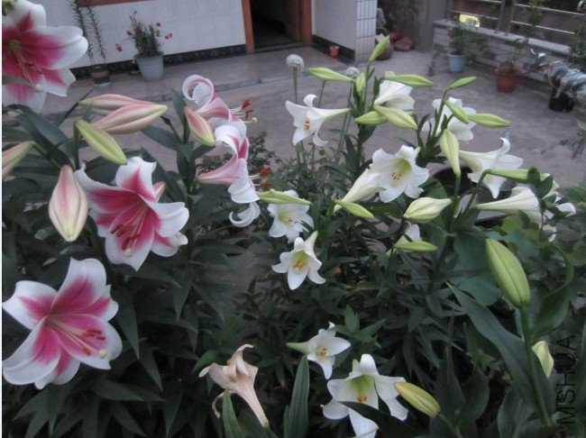 QQ��ͼ20120605204243.jpg