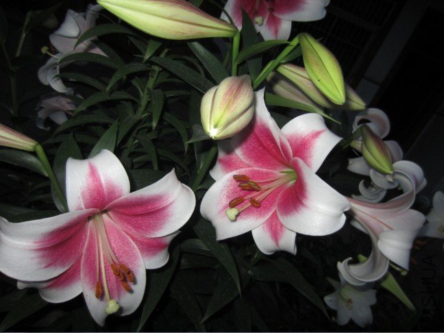 QQ��ͼ20120605204256.jpg