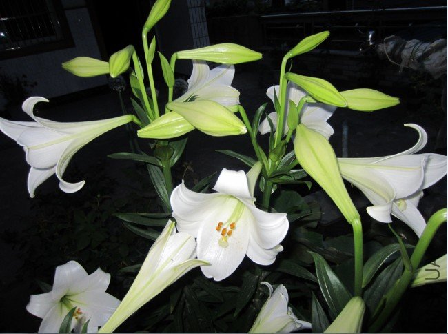 QQ��ͼ20120605204307.jpg