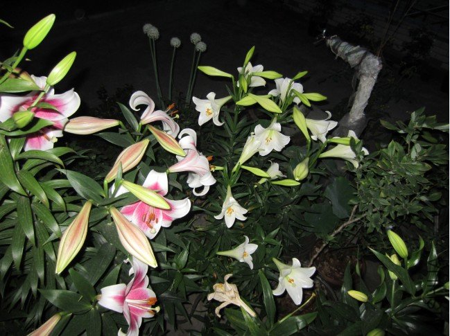 QQ��ͼ20120605204329.jpg