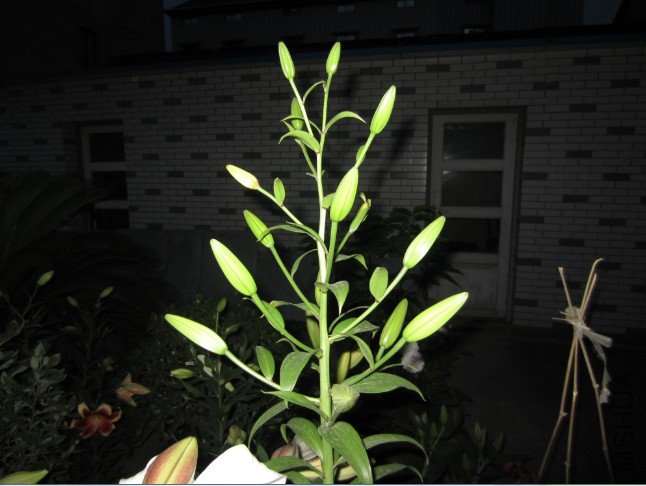 QQ��ͼ20120605204340.jpg