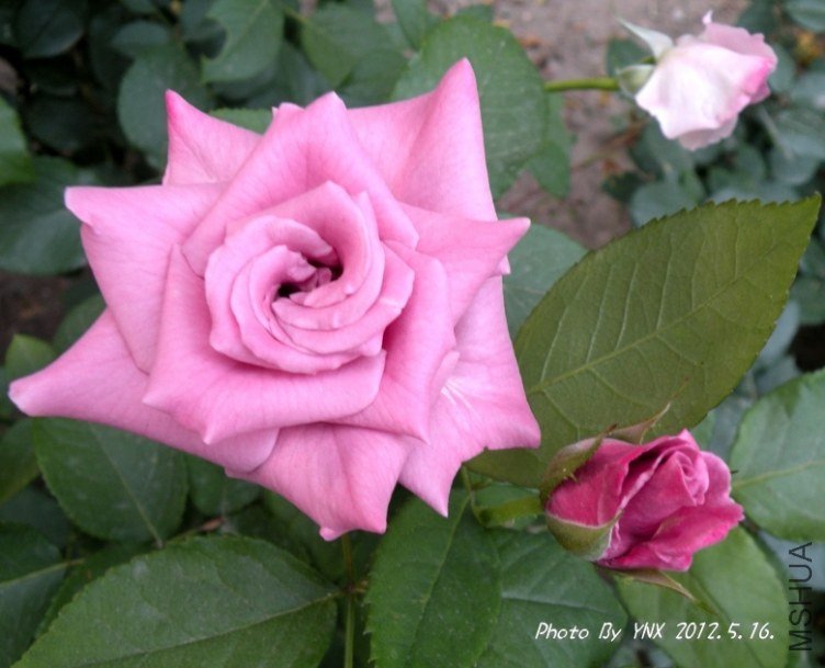 2012.5.16. 025_conew2.jpg