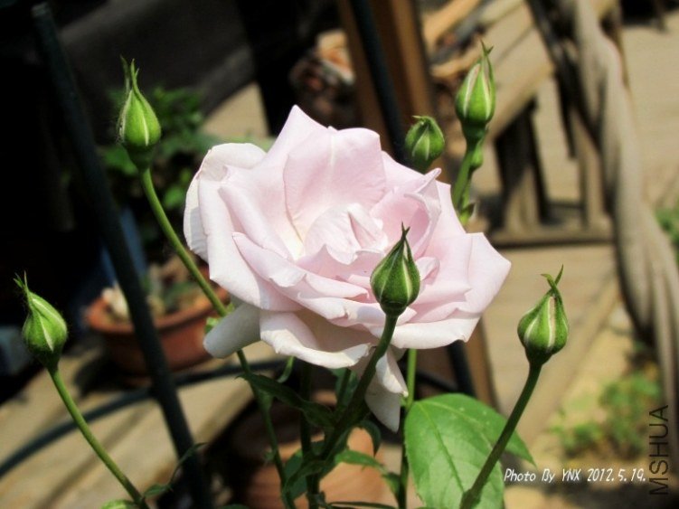 2012.5.19. 042_conew2.jpg