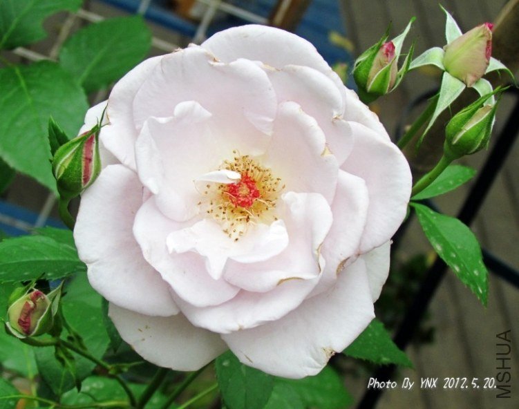 2012.5.20. 005_conew2.jpg