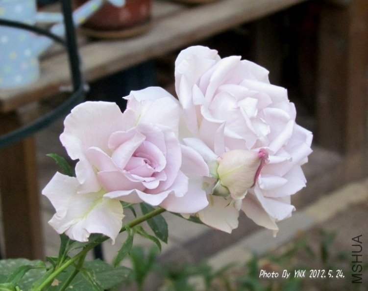 2012.5.24. 076_conew2.jpg