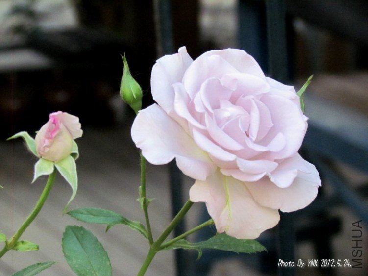 2012.5.24. 073_conew2.jpg