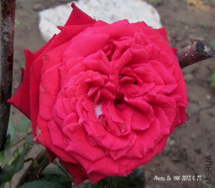 2012.5.27. 005_ѣҫ.jpg