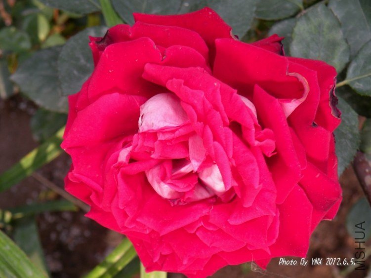 2012.6.5. 025_conew1.jpg