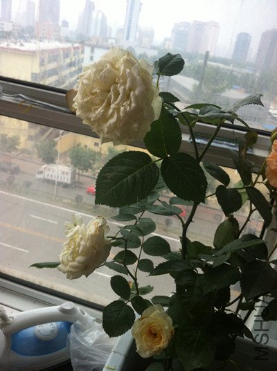 035_����.jpg