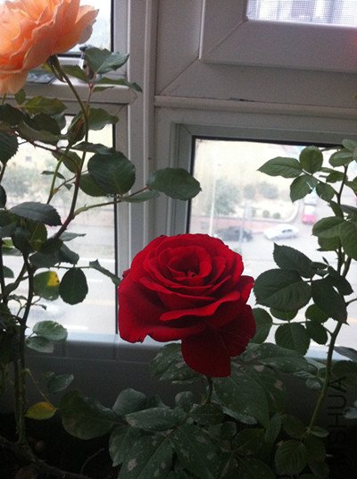 038_����.jpg