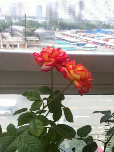040_����.jpg