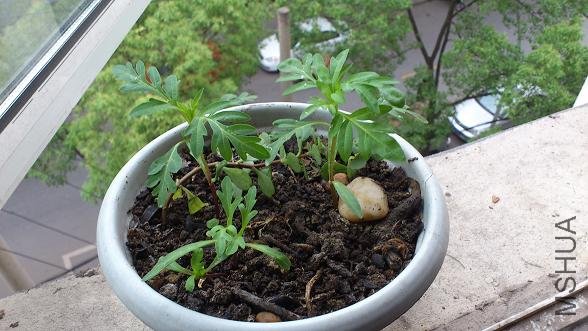 ����ͳ�����