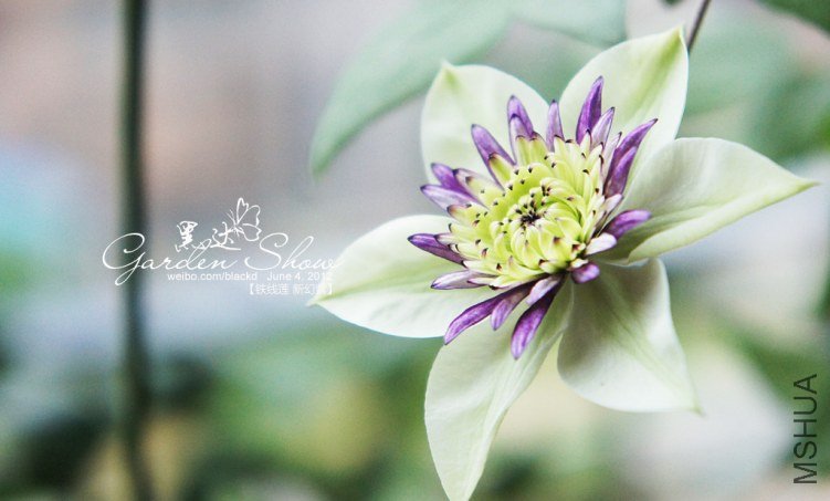 DSC02068 ����.jpg