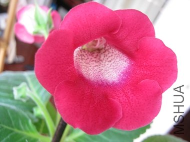 IMG_0012.JPG