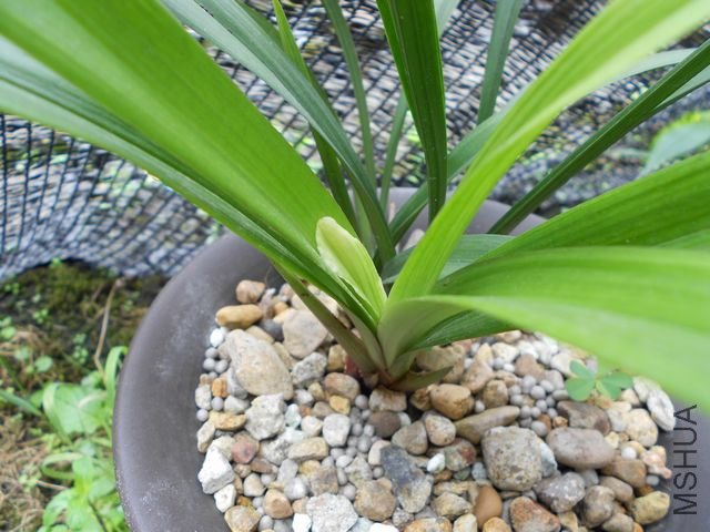 ���� 1848.jpg