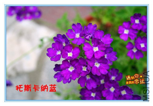 ��Ƭ 016_����ӣ4.jpg