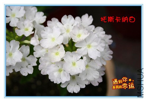 ��Ƭ 013_����ӣ3_����.jpg