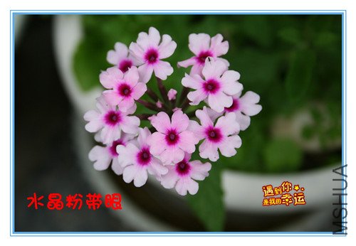 ��Ƭ 029_����ӣ5.jpg