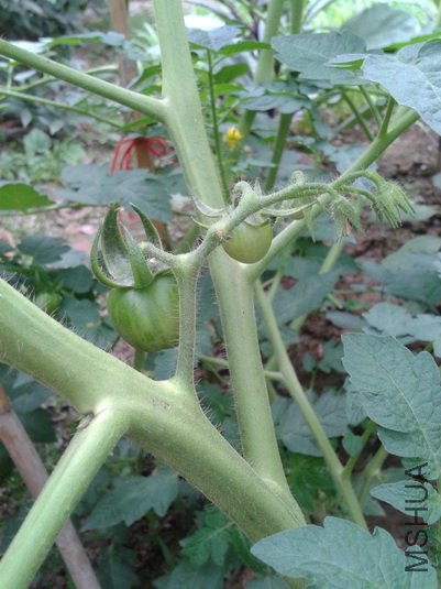 2012-06-06 12.07.49_������С.jpg