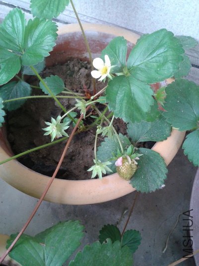 2012-06-06 12.10.07_������С.jpg