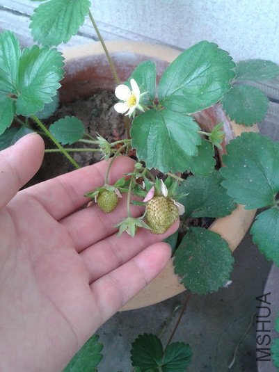 2012-06-06 12.10.16_������С.jpg