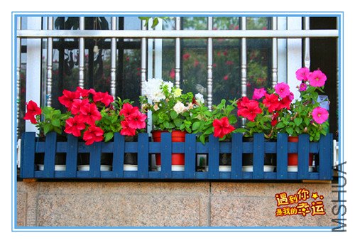 ��Ƭ 033_������1.jpg