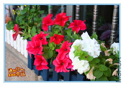 ��Ƭ 042_������.jpg