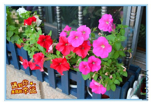 ��Ƭ 043_����.jpg