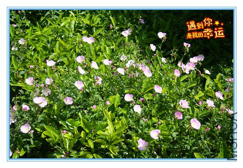 ��Ƭ 111_������1.jpg