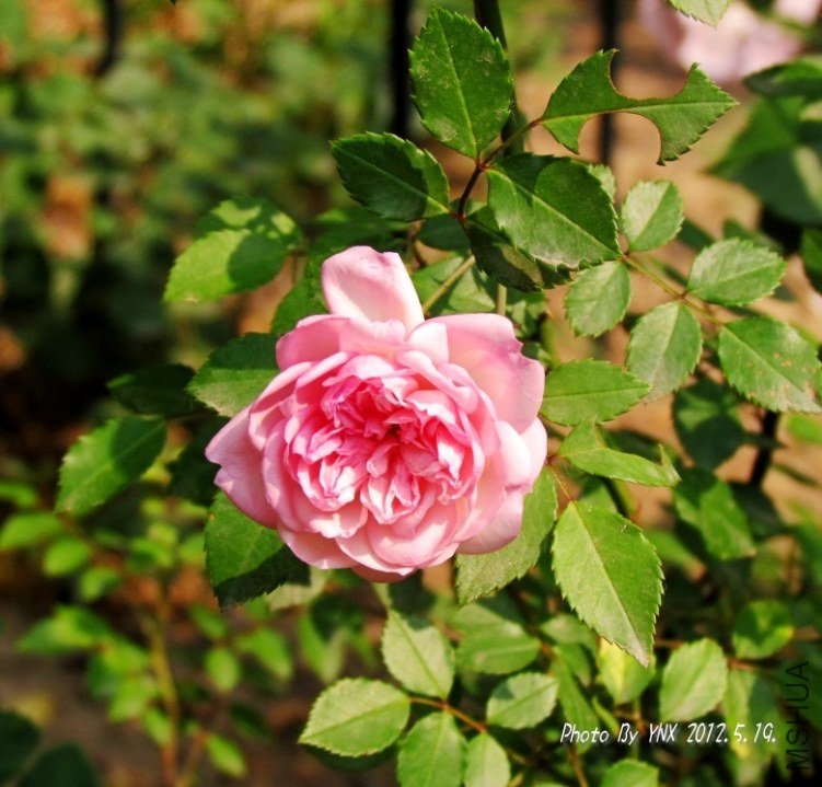 2012.5.19. 045_conew2.jpg