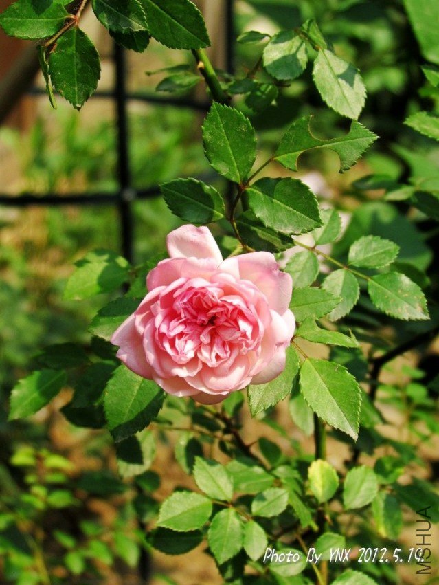 2012.5.19. 046_conew2.jpg