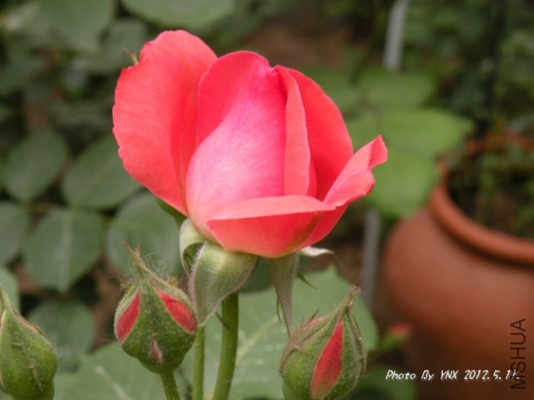 2012.5.11. 031_conew2.jpg