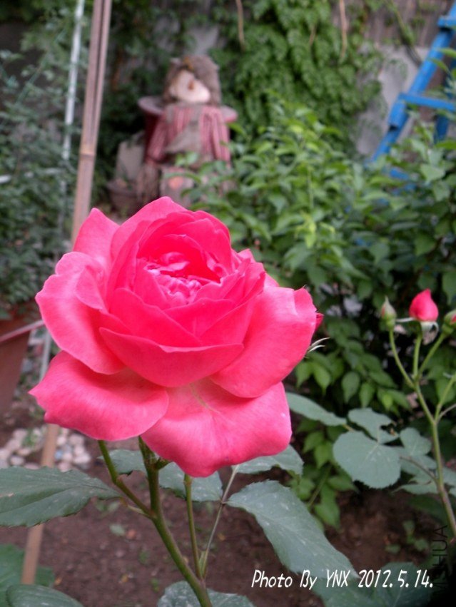 2012.5.14. 075_conew2.jpg