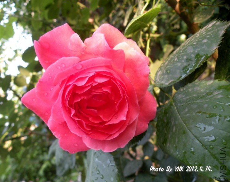 2012.5.15. 042_conew2.jpg